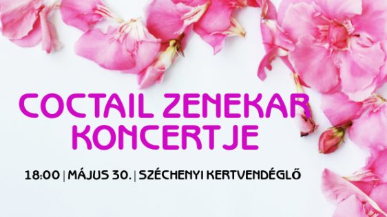 Cocktail zenekar koncert